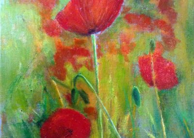 coquelicots-1