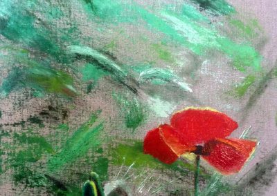 coquelicots-2